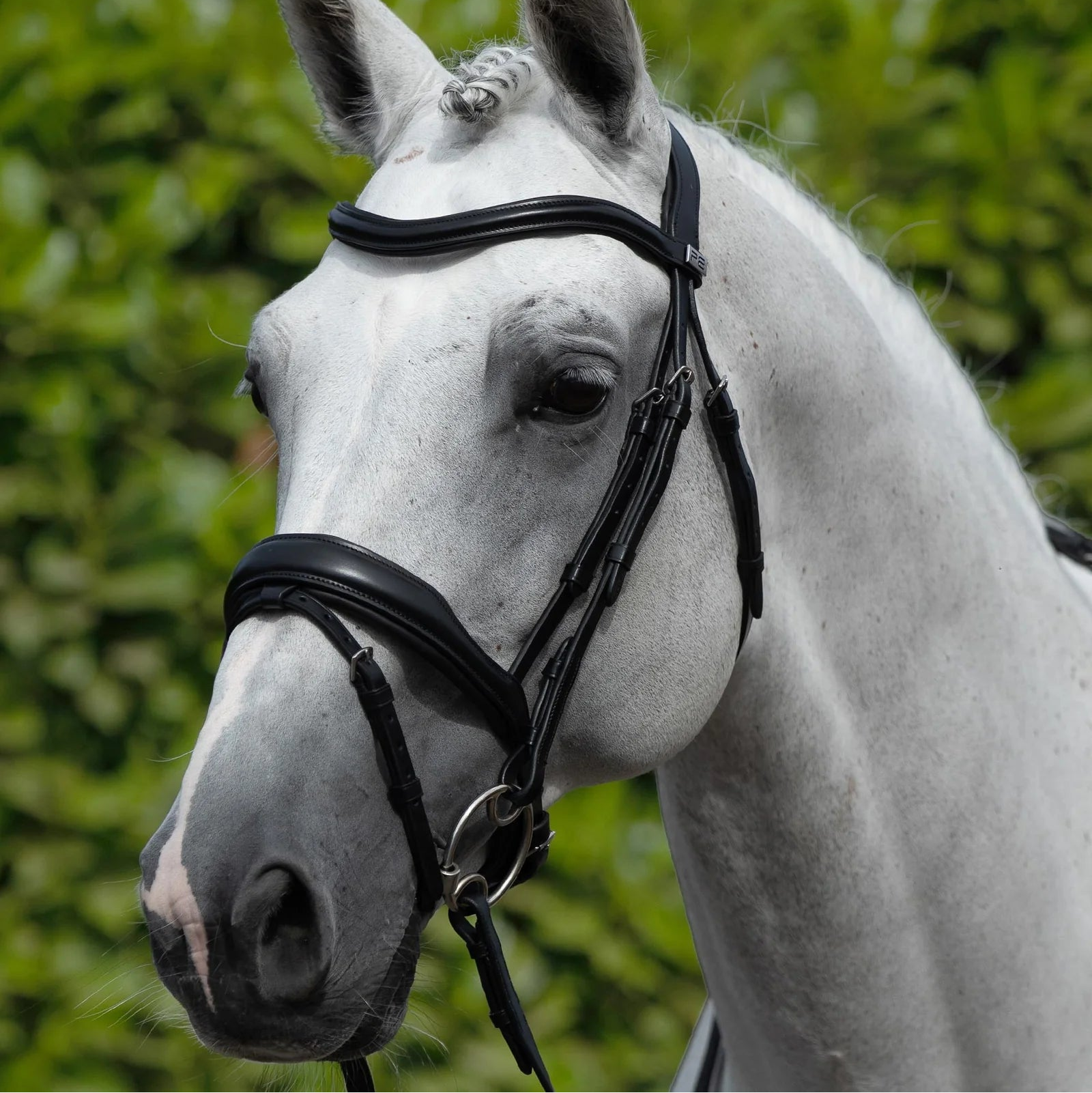 PREMIER EQUINE Rizzo Anatomic Snaffle Bridle with Flash Black on White Horse
