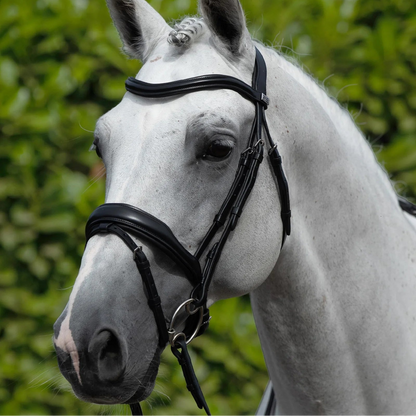 PREMIER EQUINE Rizzo Anatomic Snaffle Bridle with Flash Black on White Horse