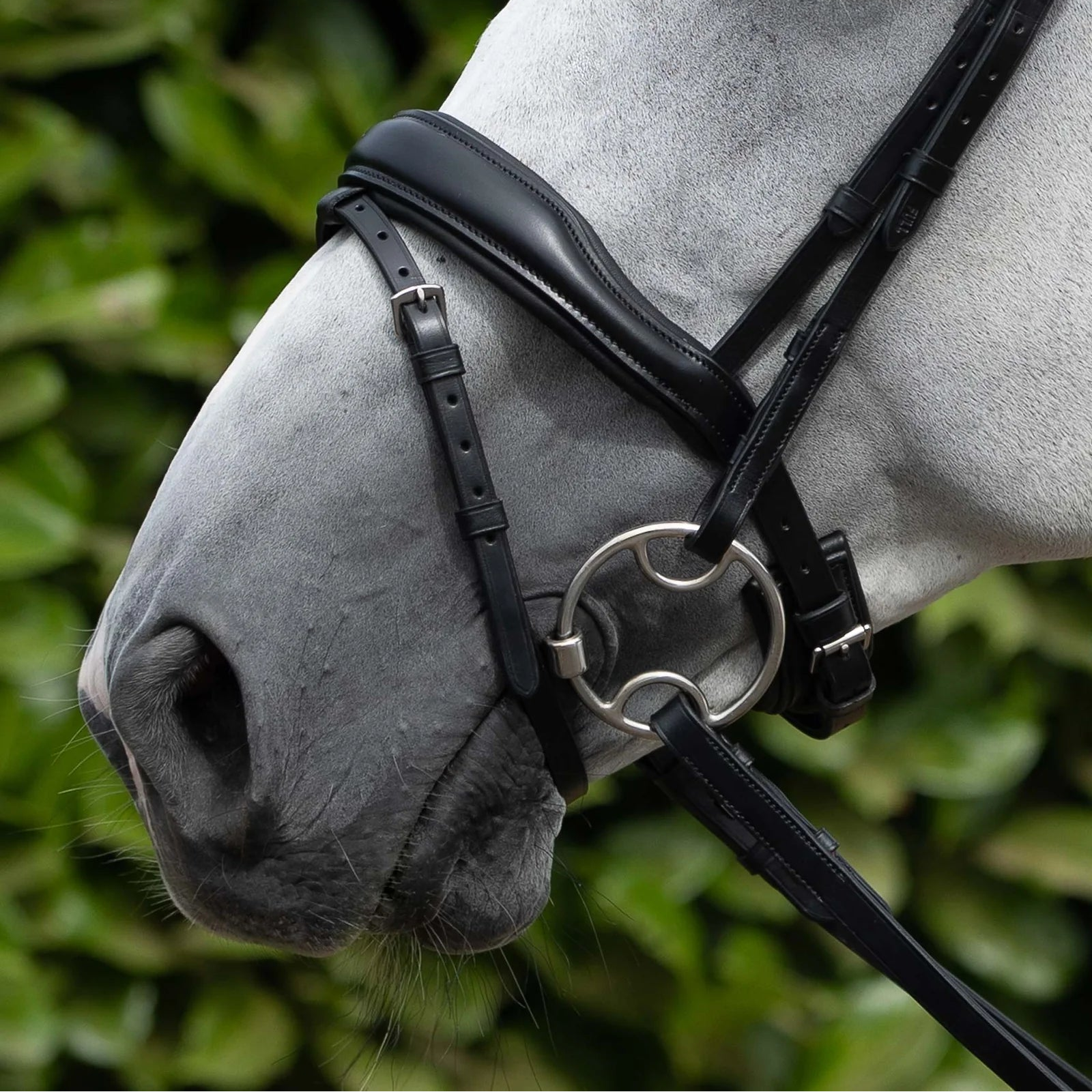 Premier Equine Black Anatomic Snaffle Bridle with Flash - Italian Leather Horse Tack