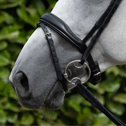 Premier Equine Black Anatomic Snaffle Bridle with Flash - Italian Leather Horse Tack