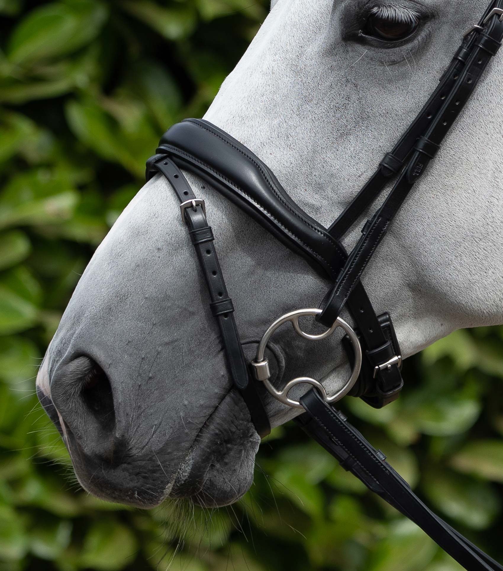 PREMIER EQUINE Rizzo Anatomic Flash Noseband - Black Italian Leather Comfort Bridle for Sensitive Horses