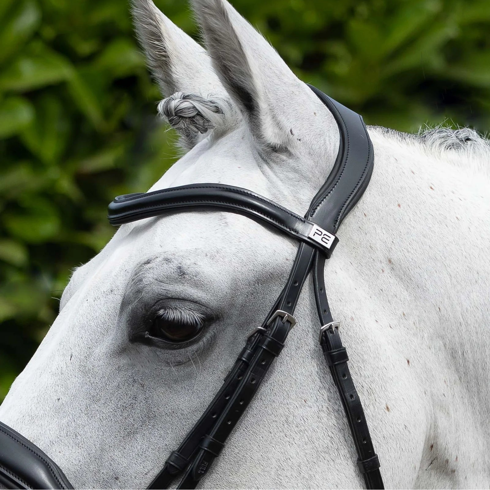 Premier Equine Rizzo Anatomic Snaffle Bridle with Flash - Black Italian Leather Horse Bridle