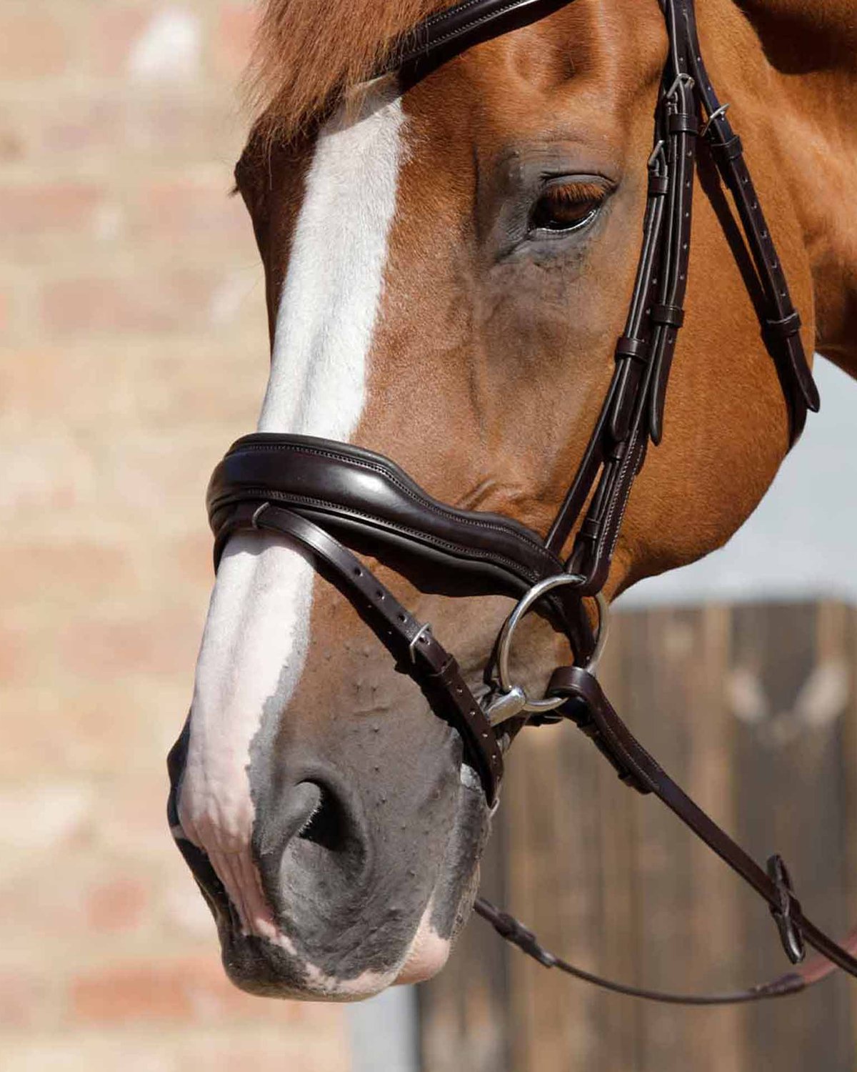Brown Leather Anatomic Horse Bridle with Flash Noseband by Equiflair