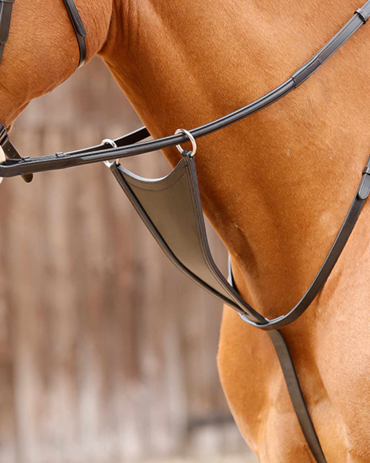 Premier Equine Rosello Bib Martingale Black