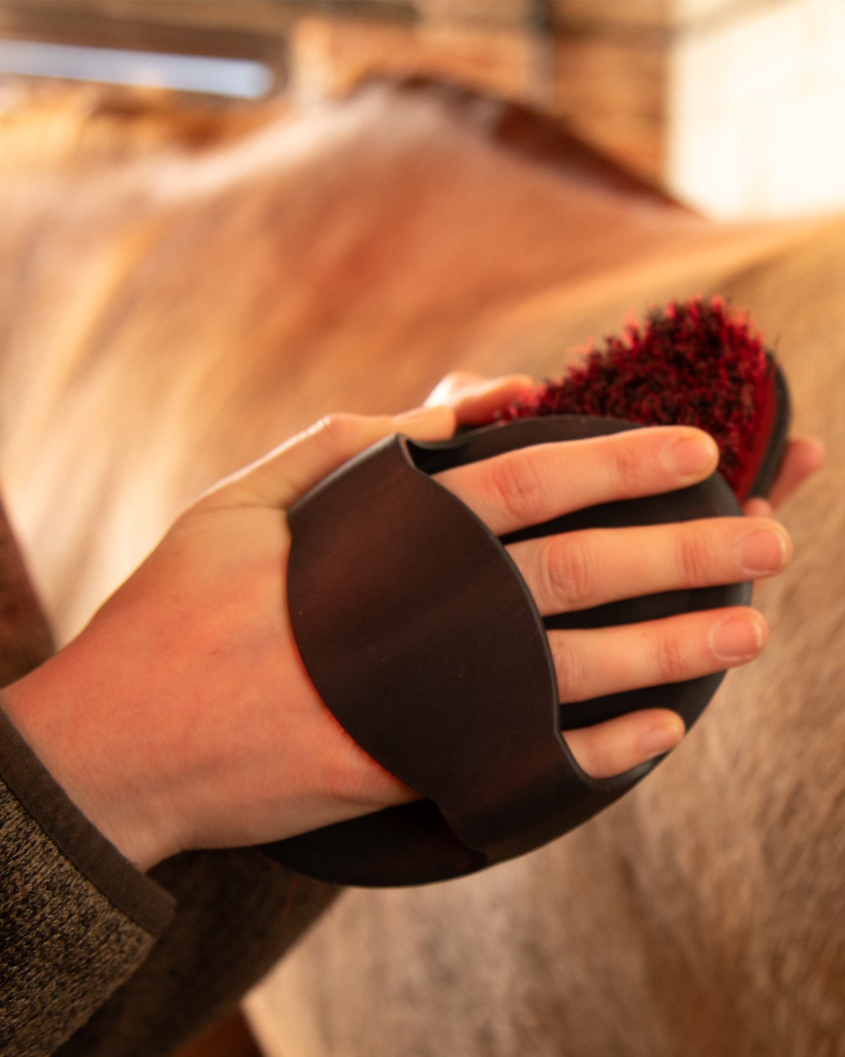 Premier Equine Rubber Curry Comb for Horse Grooming - Equiflair