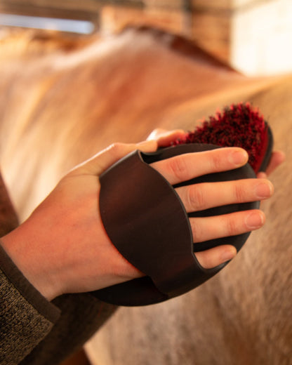Premier Equine Rubber Curry Comb for Horse Grooming - Equiflair