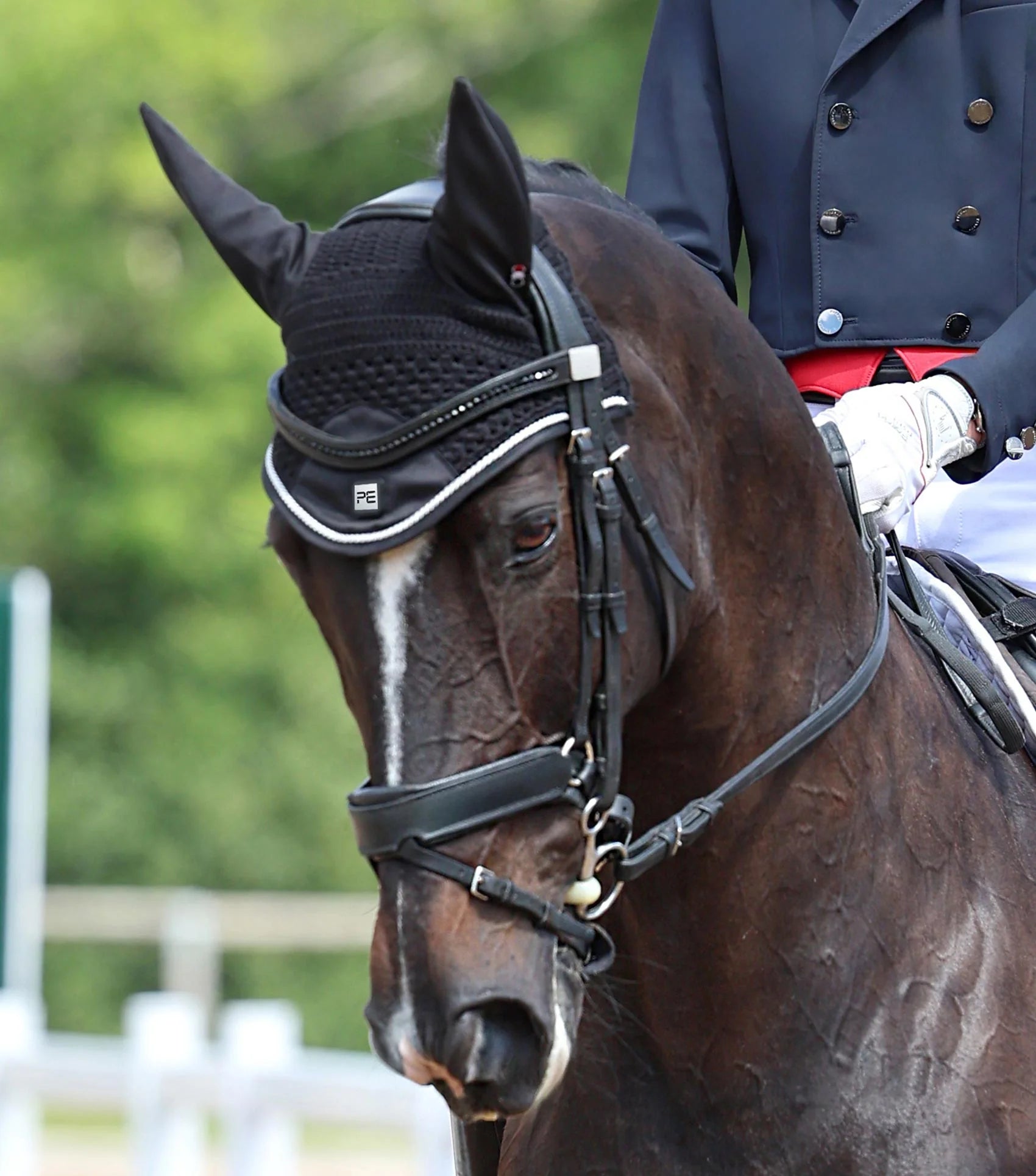 Premier Equine Salto Fly Veil Black