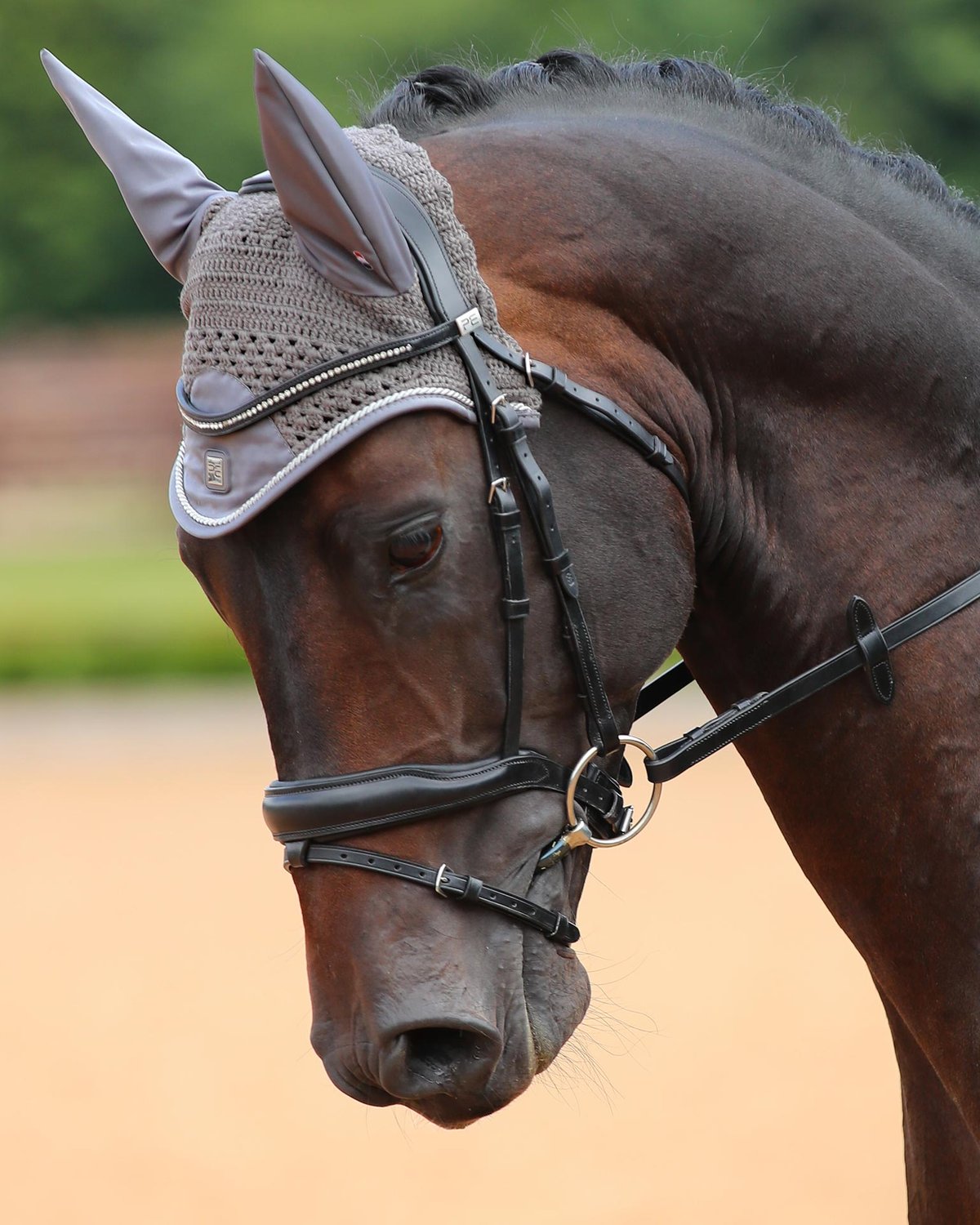 Premier Equine Salto Grey Fly Veil on Horse - Ear Net for Riding