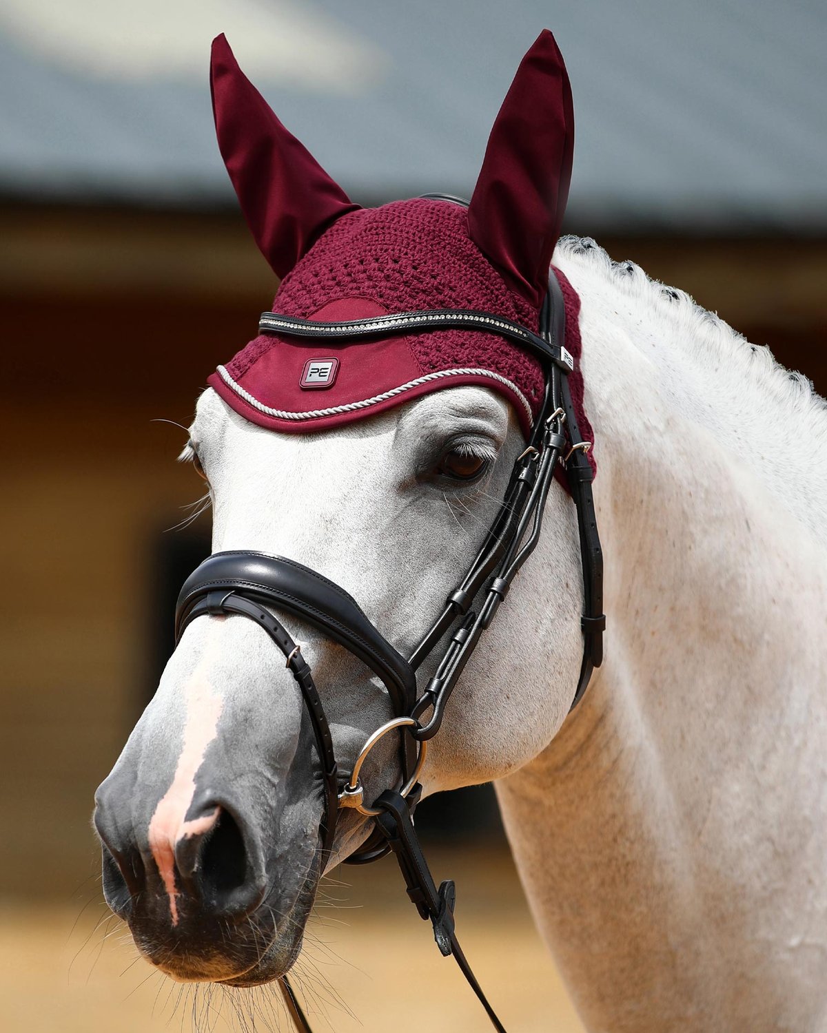 PREMIER EQUINE SALTO FLY VEIL WINE on Horse | Equiflair - Insect & Noise Protection