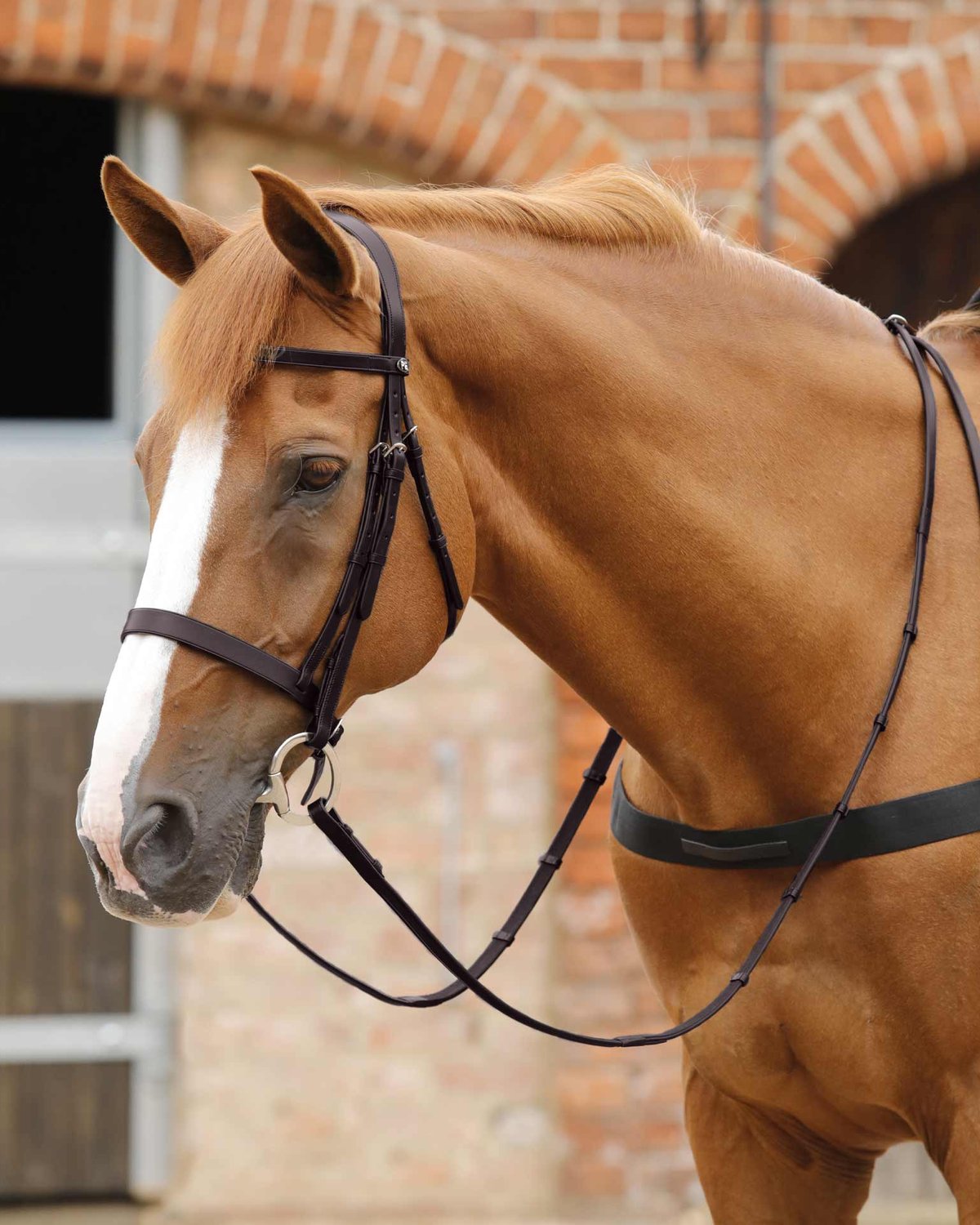 Premier Equine Salvatore Rubber & Leather Grip Reins Brown