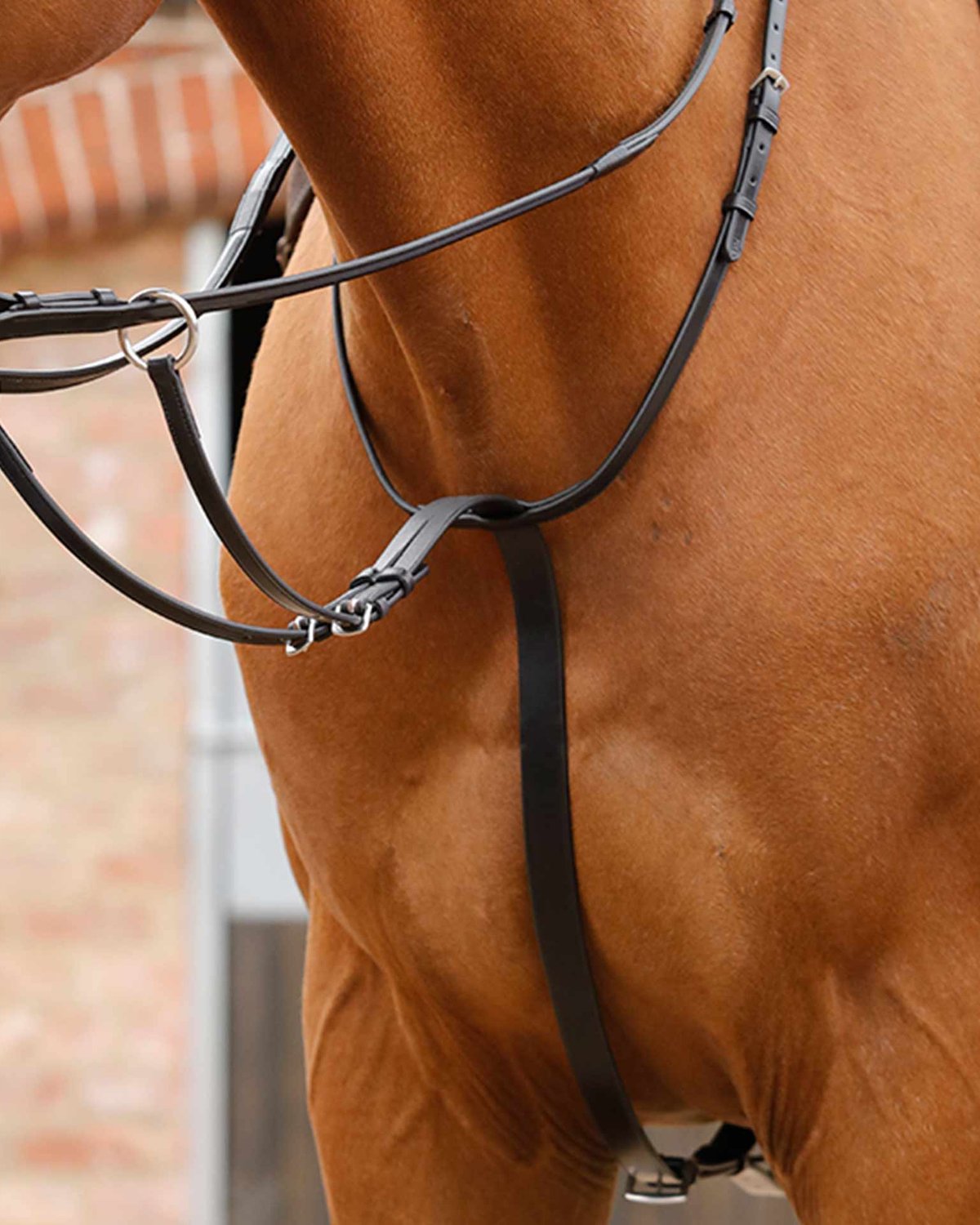 Black Leather Running Martingale on Horse: Equine Equipment for Training & Control