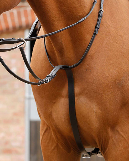 Black Leather Running Martingale on Horse: Equine Equipment for Training & Control