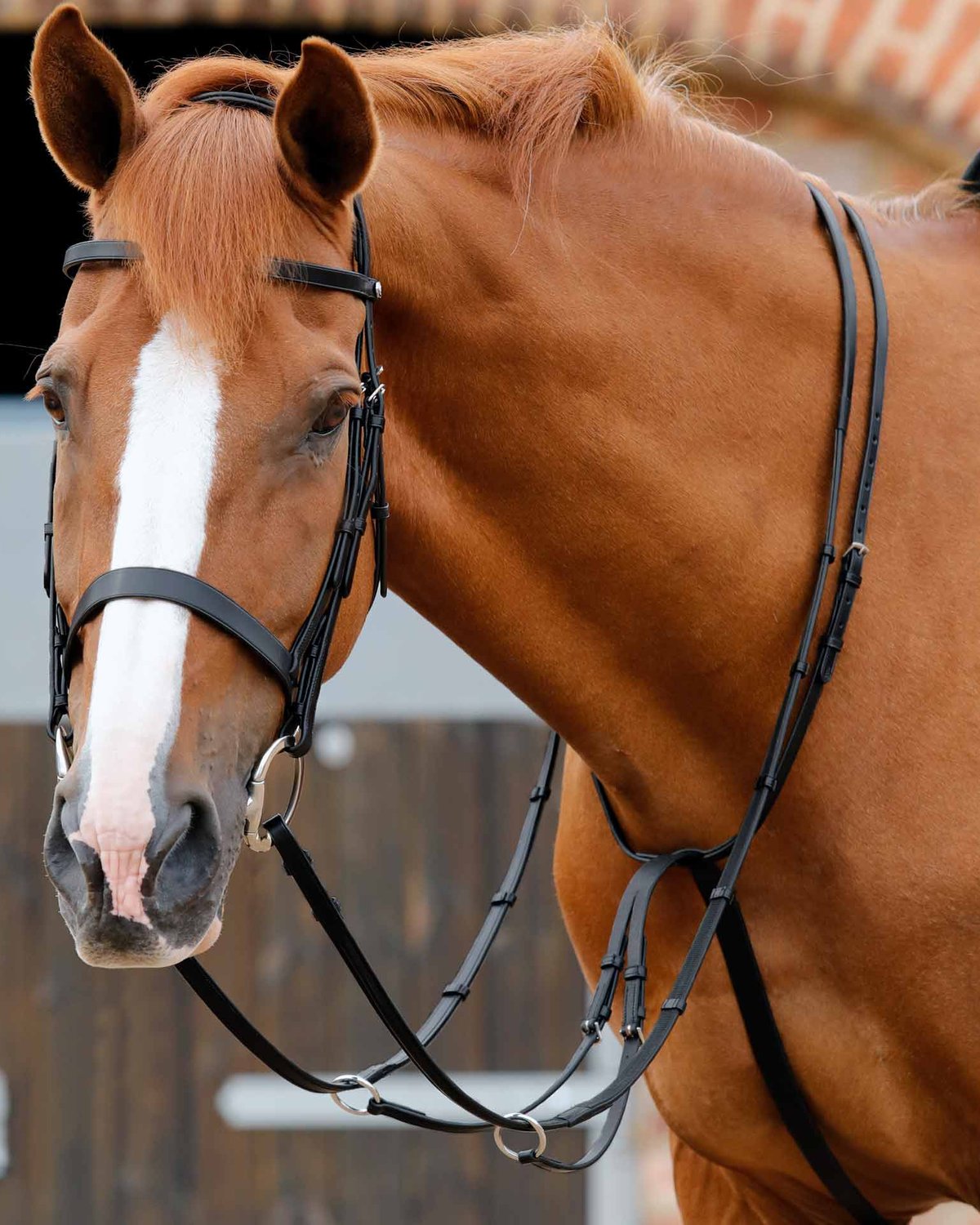 Premier Equine Santadi Adjustable Running Martingale Black