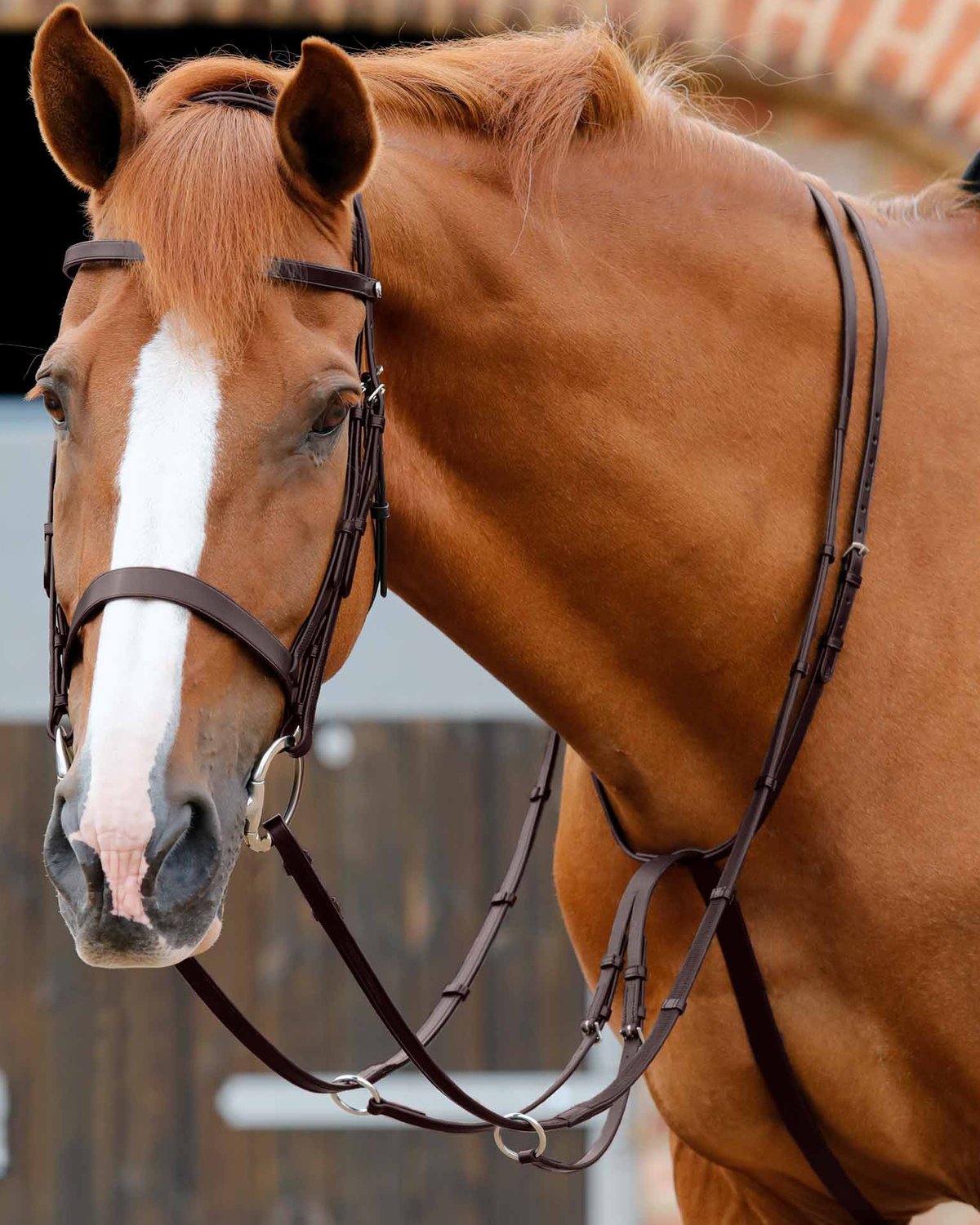 Premier Equine Santadi Adjustable Running Martingale Brown