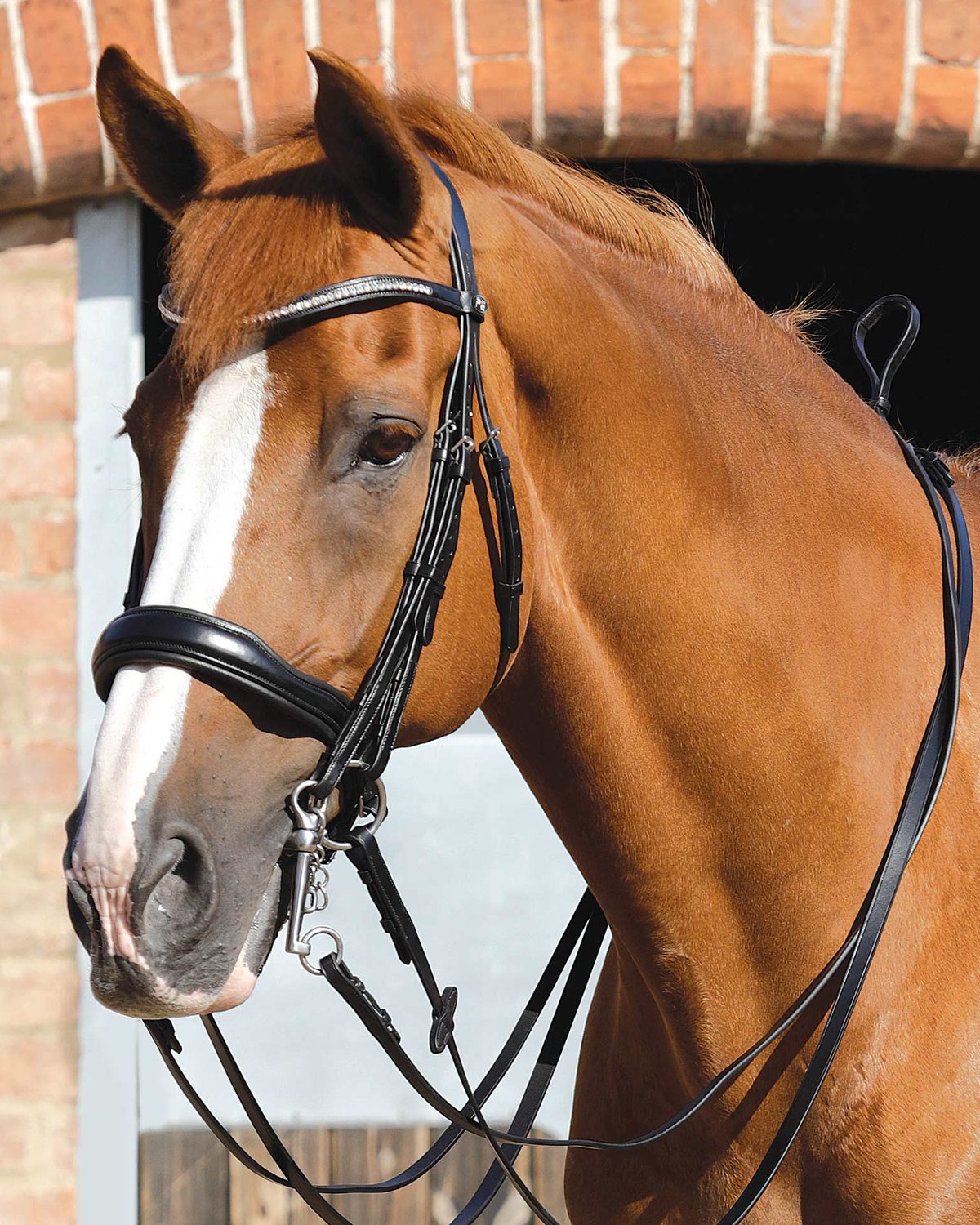 Premier Equine Senado Plain Leather Reins Black