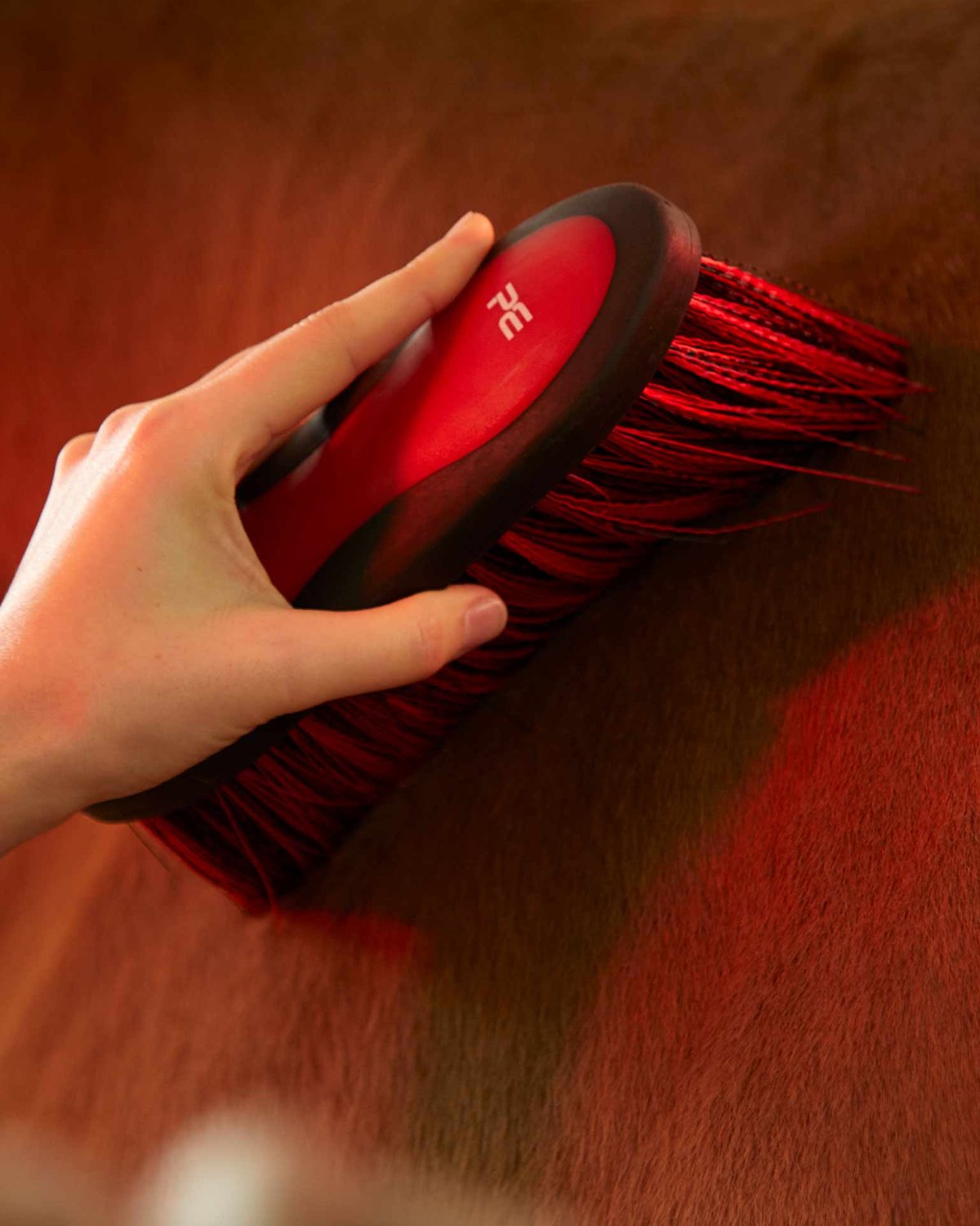 Premier Equine Red Dandy Brush Grooming Horse - Soft Bristles Brush for Horse Cleaning