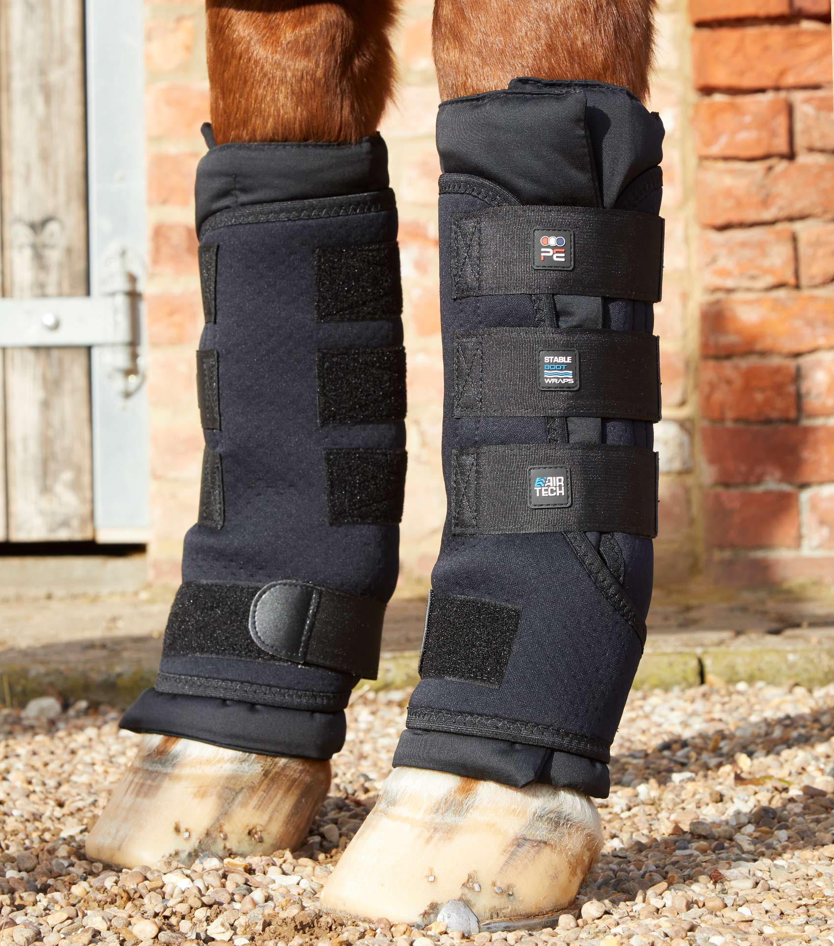 Horse Legs Wearing Premier Equine Stable Boots: Black Air-Tech Wraps for Support & Injury Prevention