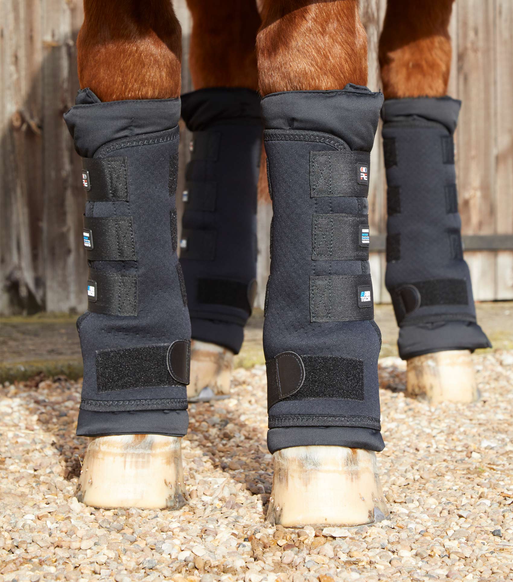 Premier Equine Stable Boot Wraps Black: Horse Leg Protection & Support with Liners