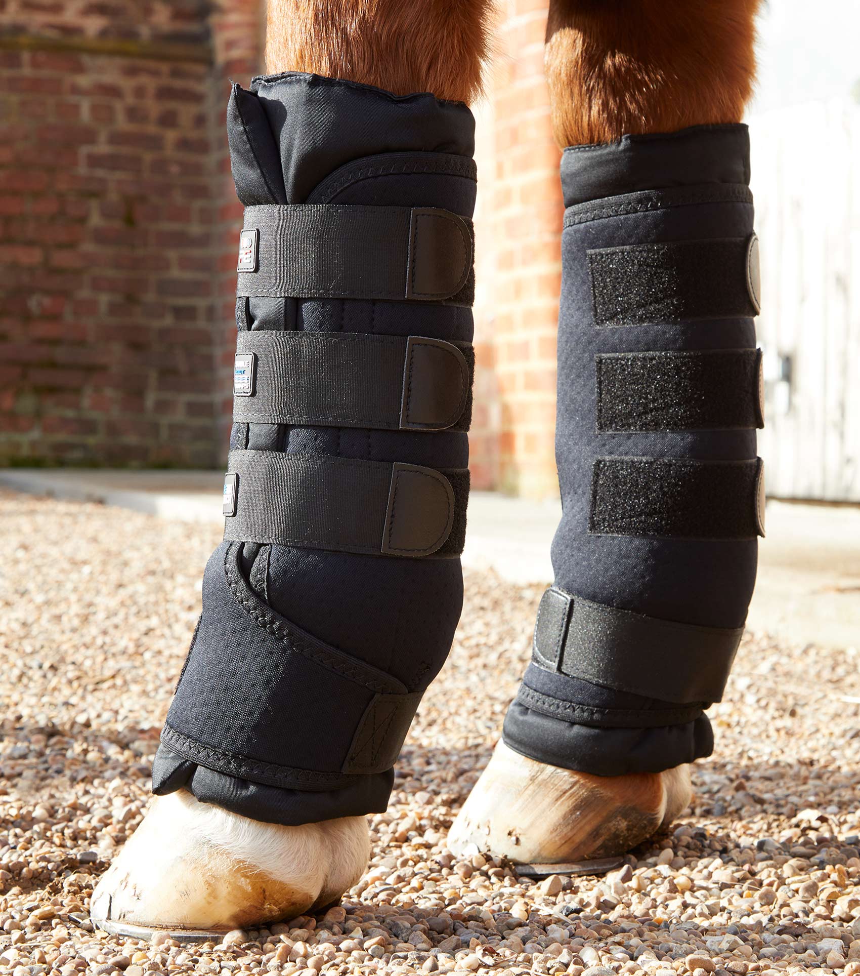 Premier Equine Stable Boot Wraps Black: Horse Leg Support, Tendon Protection, and Swelling Reduction