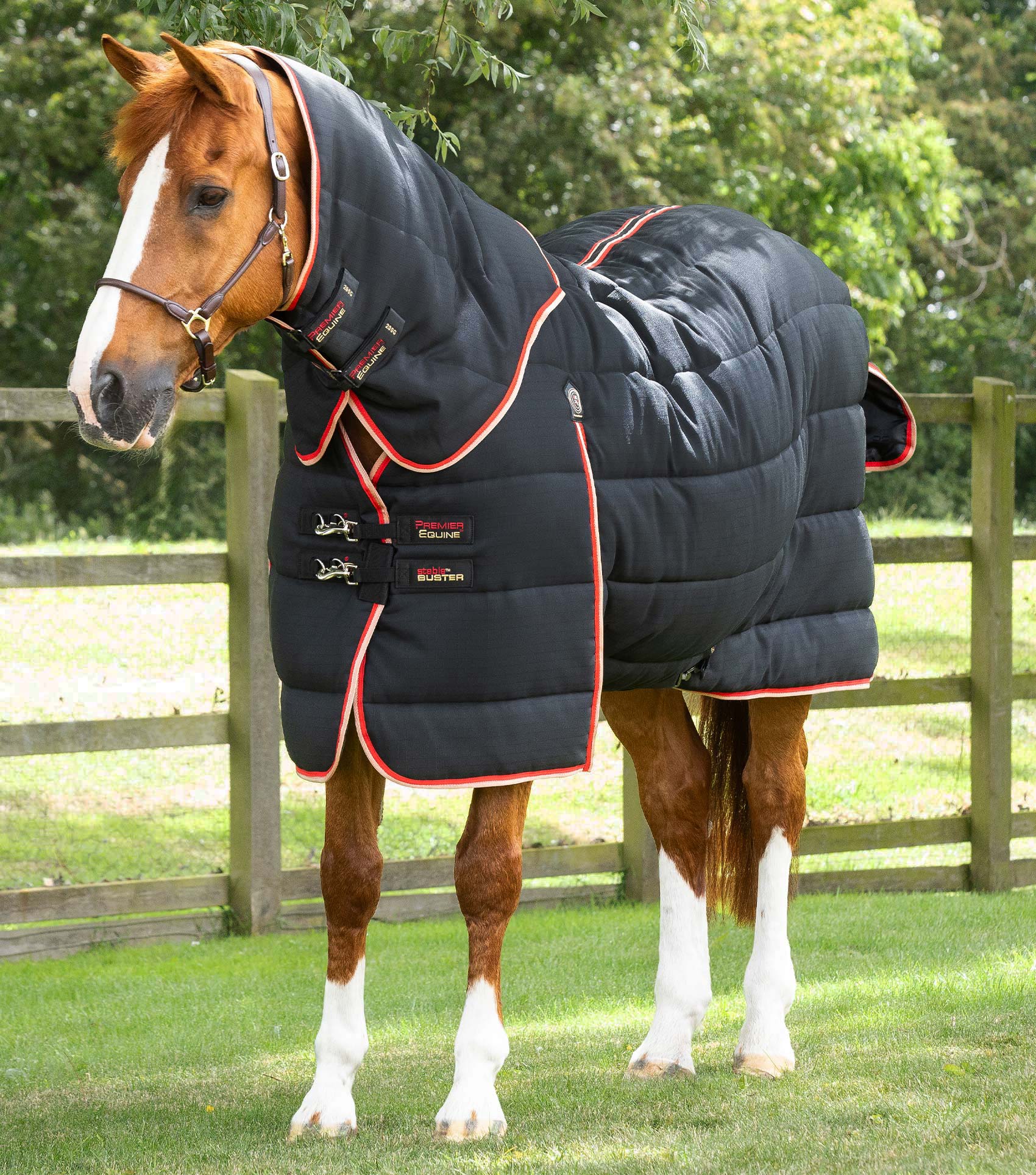 Premier Equine Stable Buster 200g Stable Rug with Neck Cover - Black Horse Rug
