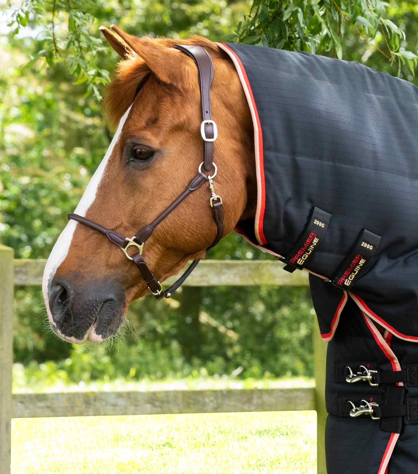Premier Equine Stable Buster 200g Horse Rug with Neck Cover - Black