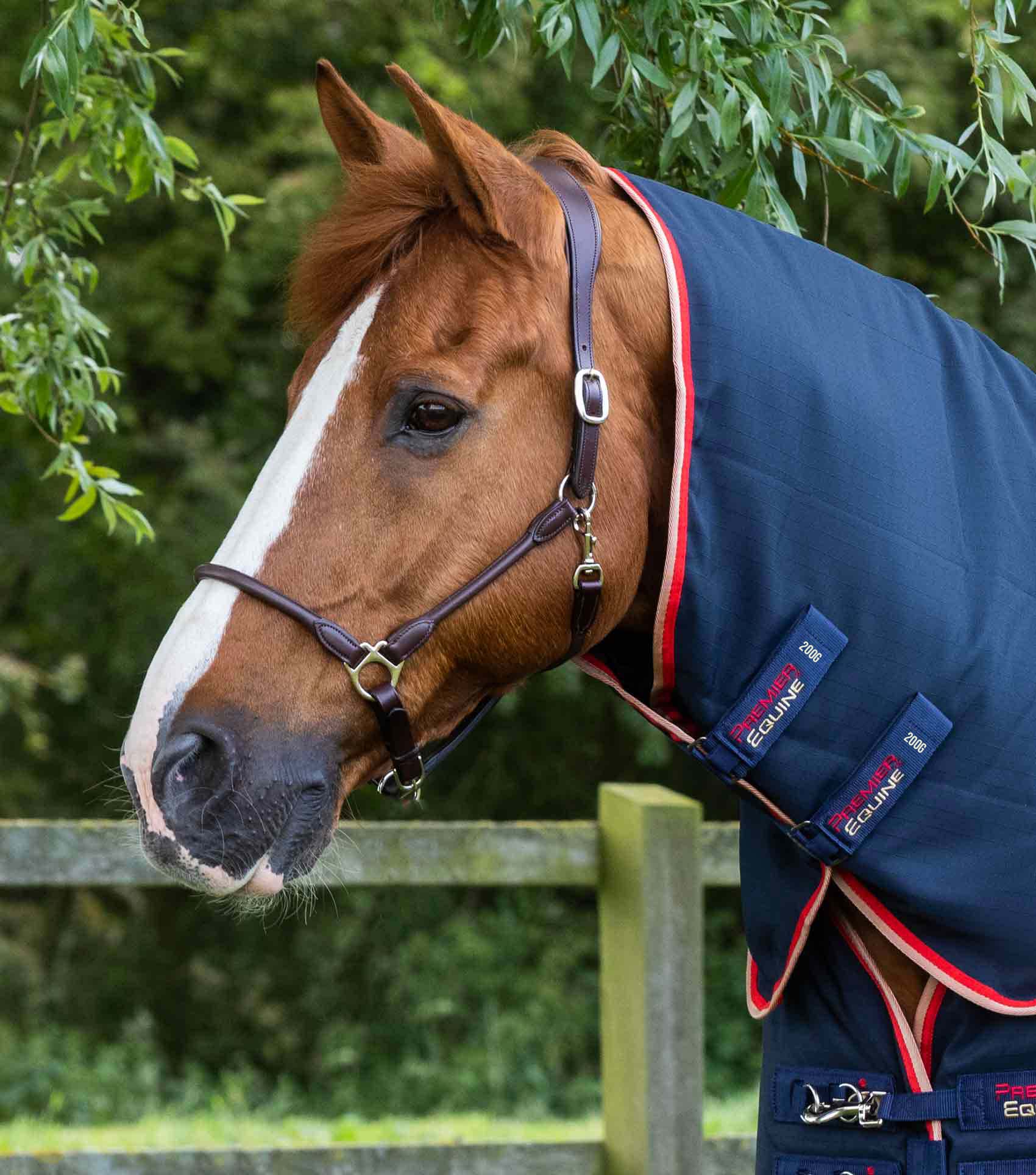 Premier Equine Stable Buster 450g Stable Rug with Neck Cover Navy