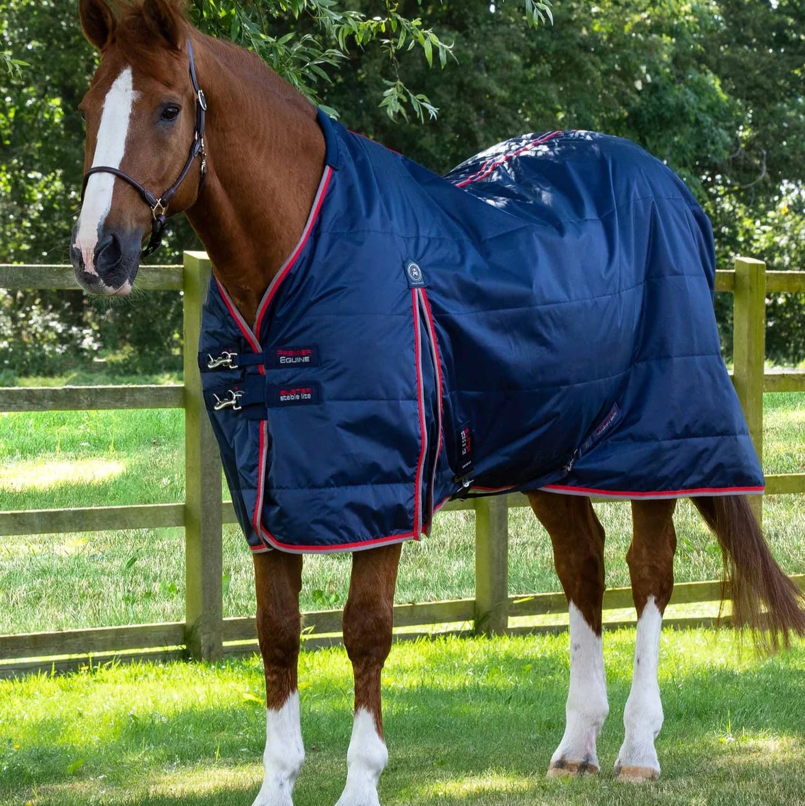 Horse in PREMIER EQUINE Stable Buster Lite 100g Navy Rug - Equiflair