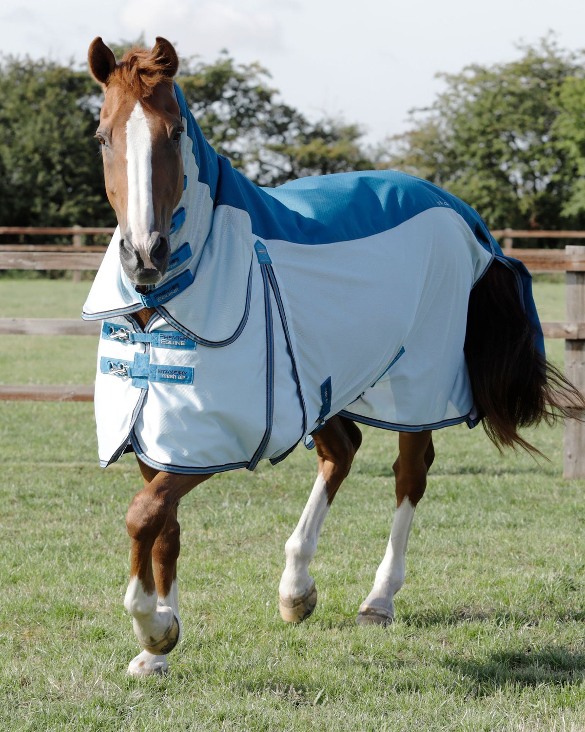 Premier Equine Stay-Dry Mesh Air Fly Rug with Surcingles Blue