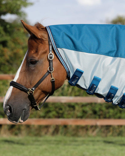 Horse wearing blue Premier Equine Stay-Dry Mesh Air Fly Rug with neck cover, protection from flies and weather.