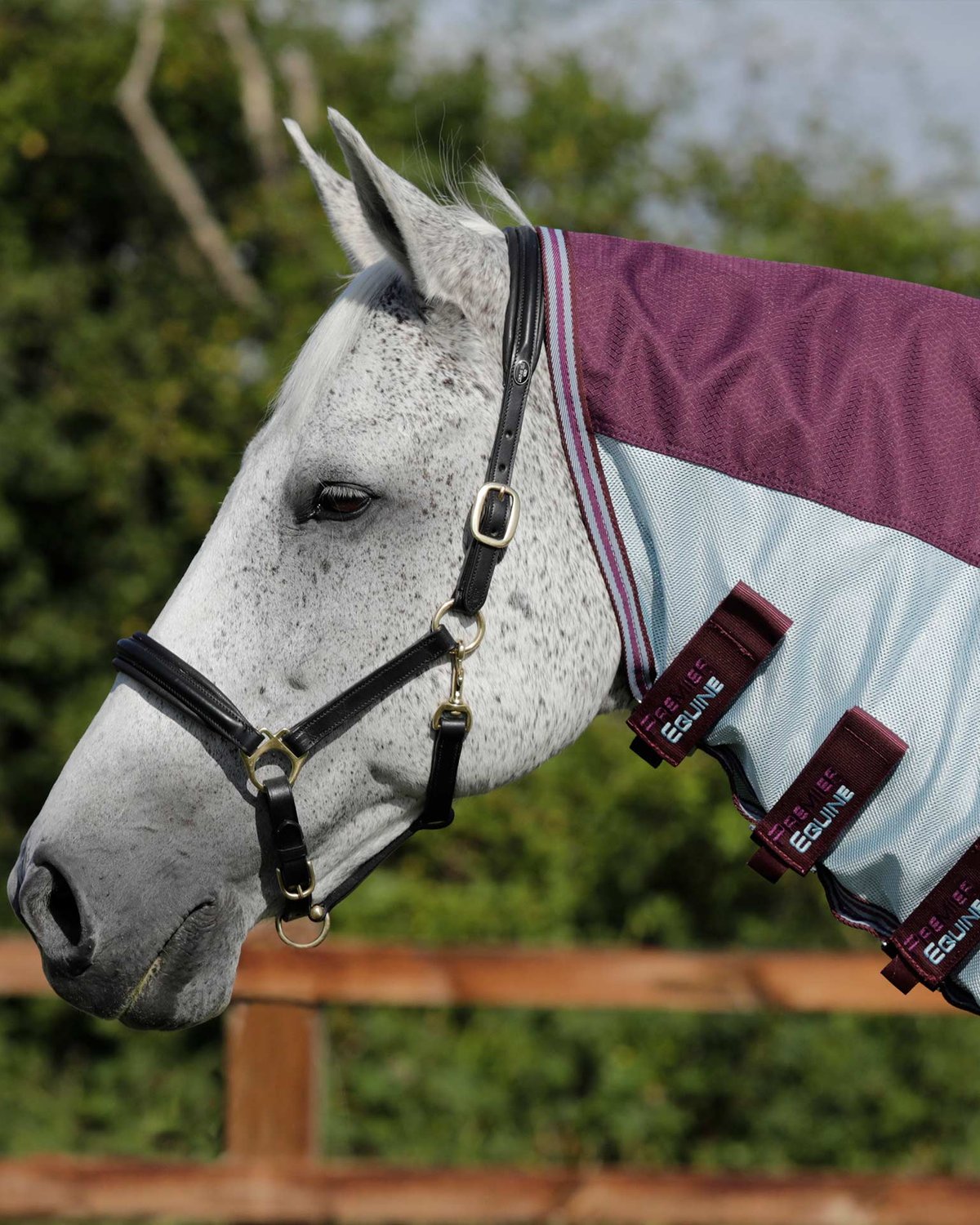 Premier Equine Stay-Dry Mesh Air Fly Rug with Surcingles Wine