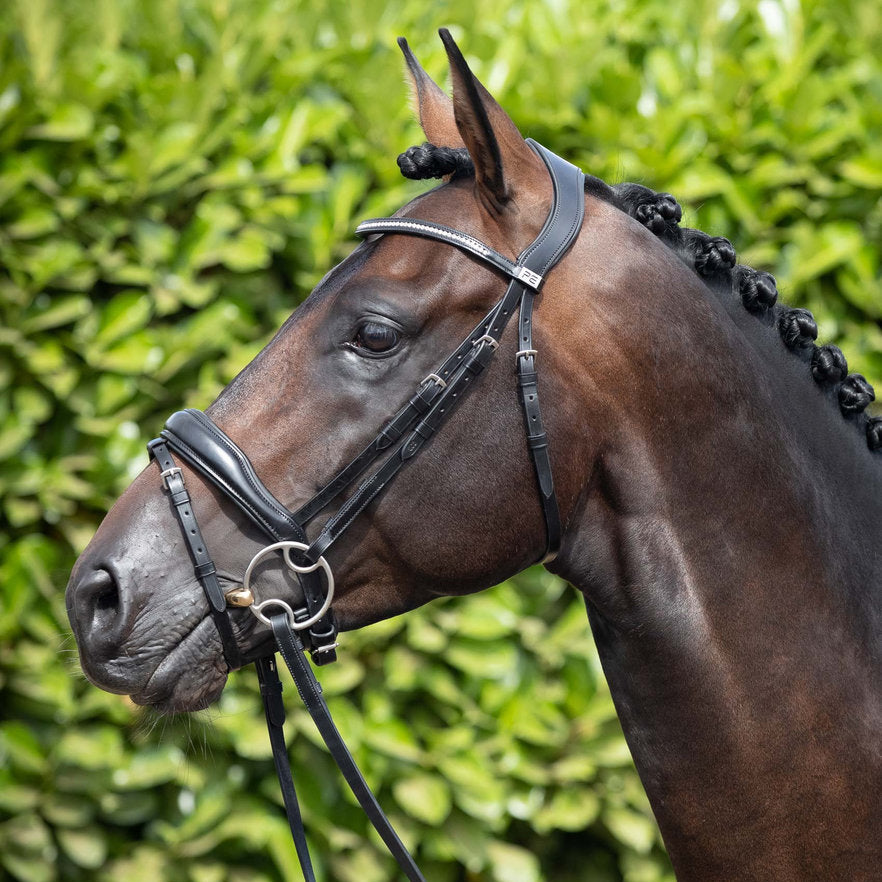 Premier Equine Stellazio Anatomic Snaffle Bridle Black: Premium Italian Leather Horse Riding Bridle