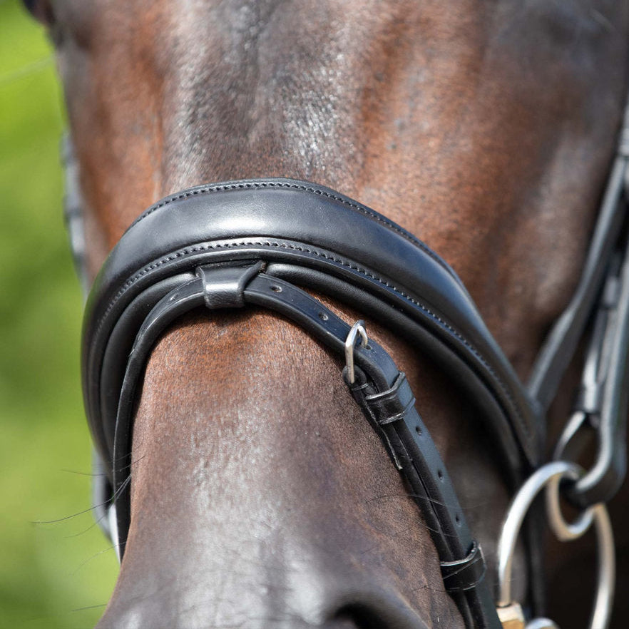 Black leather anatomical horse bridle with snaffle, equine headwear, Equiflair