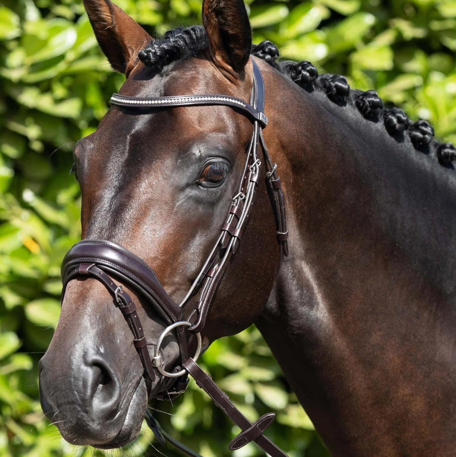 PREMIER EQUINE Anatomical Snaffle Bridle Brown Horse - Leather English Horse Tack