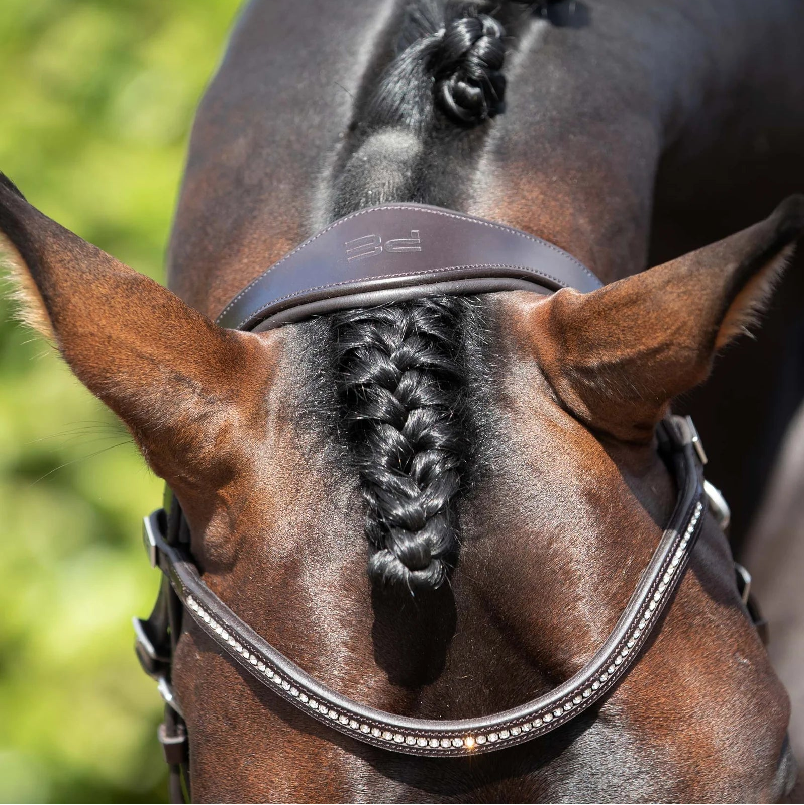 Premier Equine Stellazio Anatomic Snaffle Bridle Brown Leather: Comfort & Style for Dressage & Show Jumping Horses