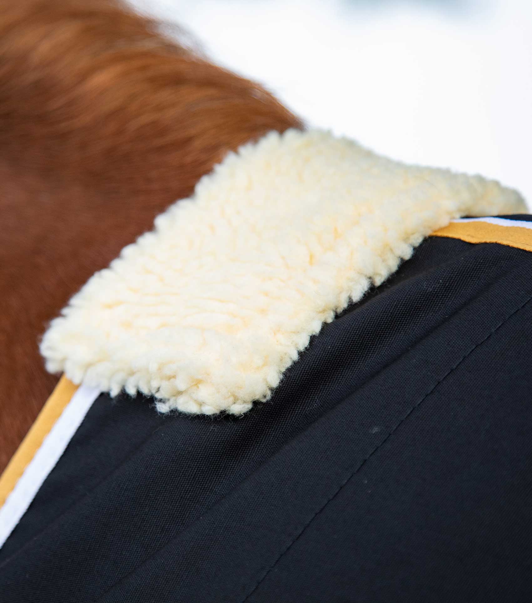 Premier Equine Black Horse Stable Sheet with Fleece Wither Pad and Trim Details