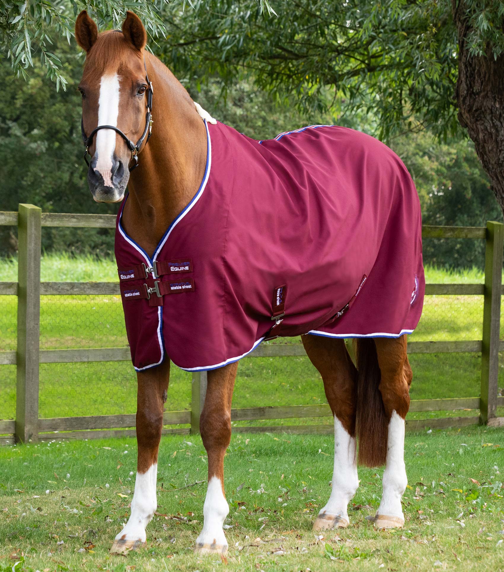 PREMIER EQUINE Stratus Burgundy Horse Stable Sheet | Equiflair - Cozy & Protective Horse Blanket