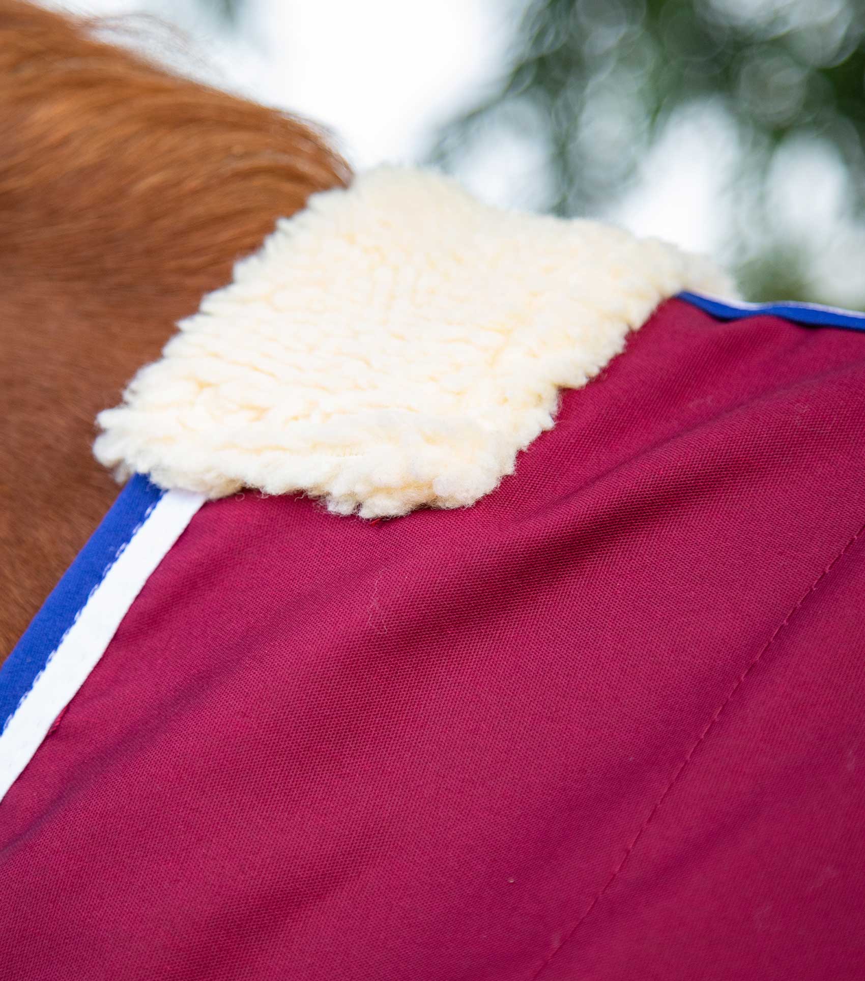 Burgundy Premier Equine Stratus Horse Stable Sheet - Wicks Moisture, Breathable