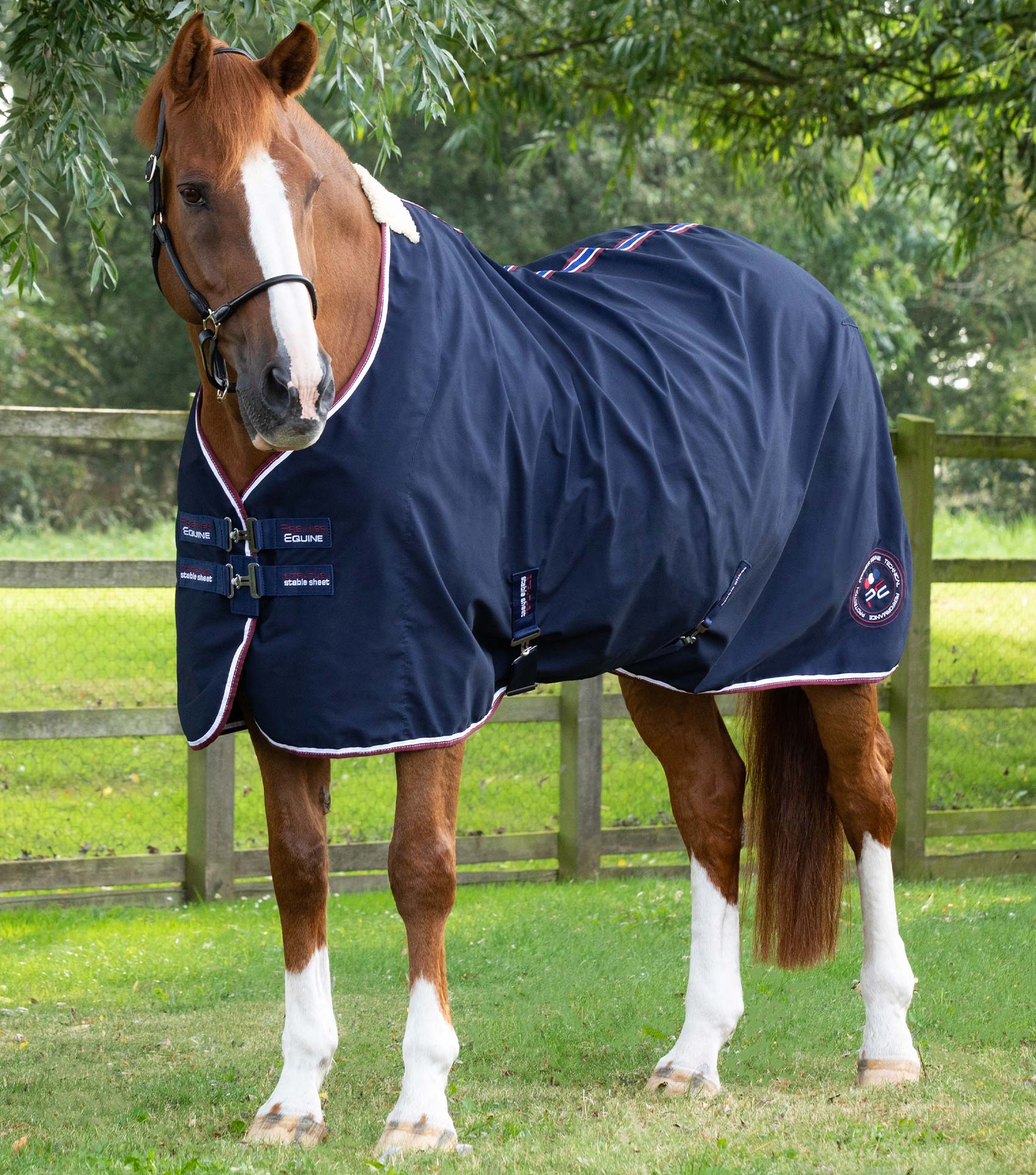 Chestnut Horse in Premier Equine Navy Stable Sheet: Breathable, Wicking, Anti-Static Horse Cooler