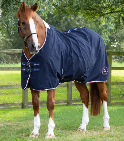 Chestnut Horse in Premier Equine Navy Stable Sheet: Breathable, Wicking, Anti-Static Horse Cooler