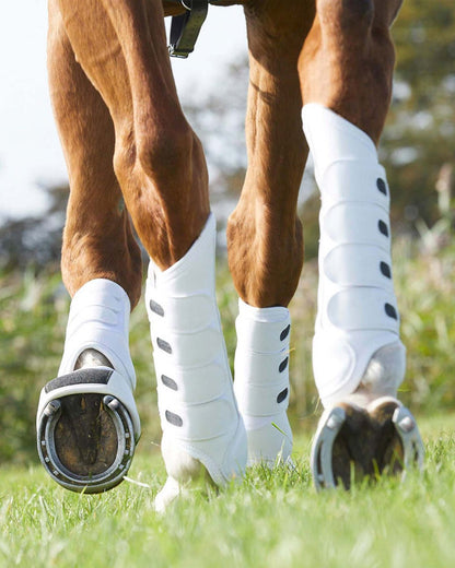Horse Legs with Protective Boots and Horseshoes: Equine Riding & Hoof Care