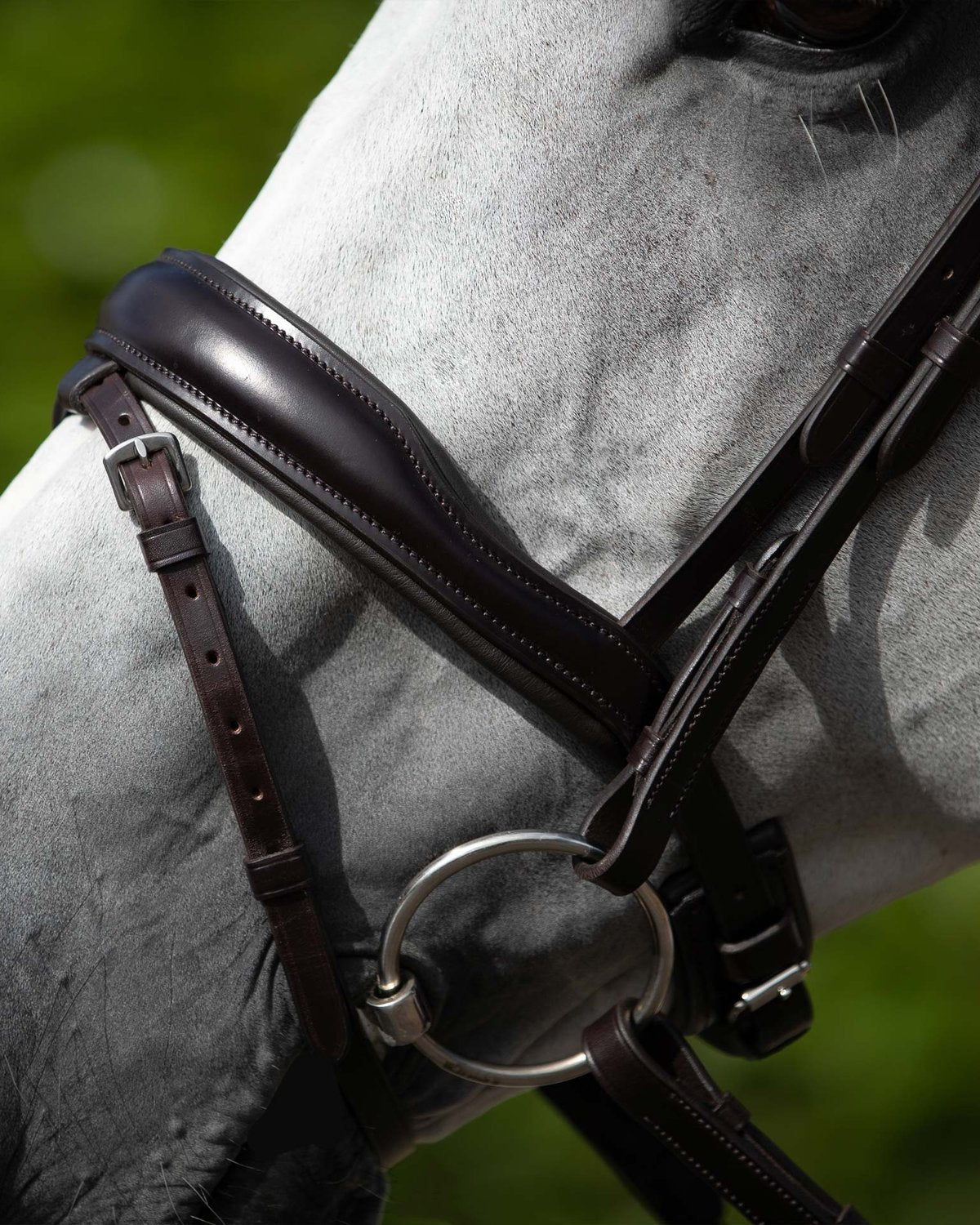 Horse Bit: Mullen Mouth Snaffle Sweet Iron Loose Ring Equine Bridle