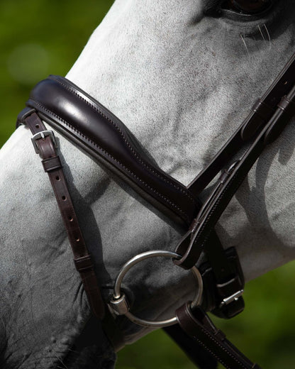 Horse Bit: Mullen Mouth Snaffle Sweet Iron Loose Ring Equine Bridle
