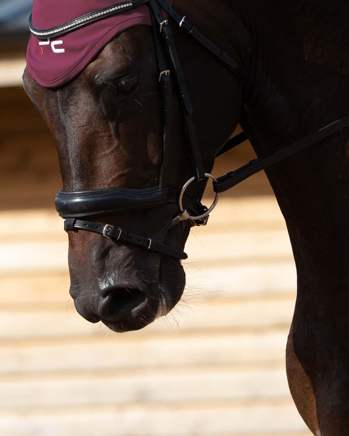 Premier Equine Horse Bit - Sweet Iron Snaffle with Brass Lozenge | Equiflair