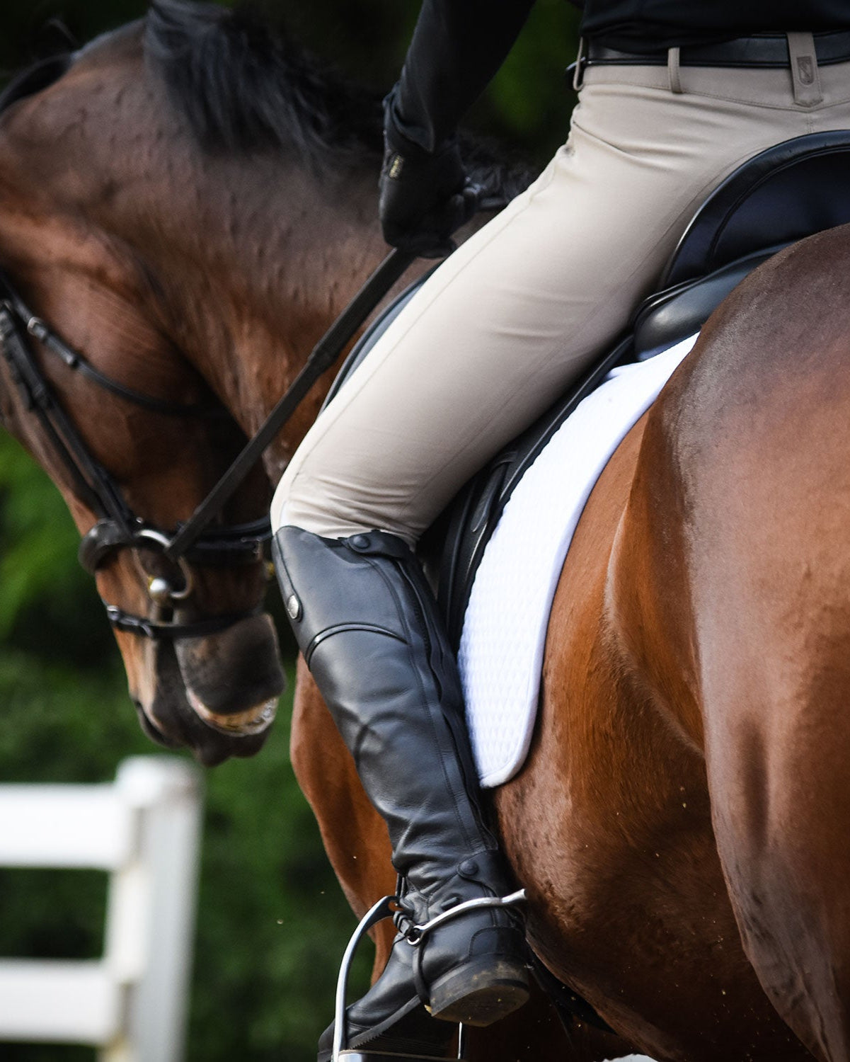 Dressage Horse Rider with White ThinLine Saddle Pad - Equestrian Sport