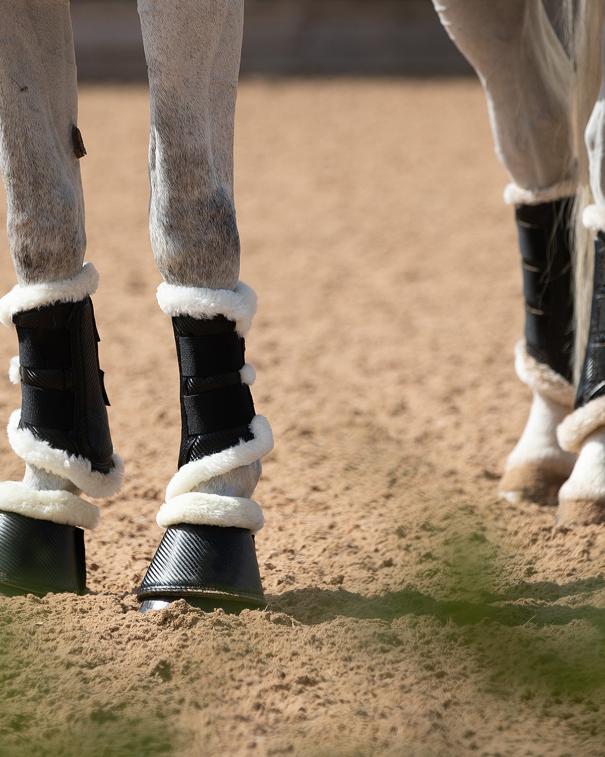 Black Premier Equine Techno Wool Brushing Boots - Horse Leg Protection, Equine Leg Wear