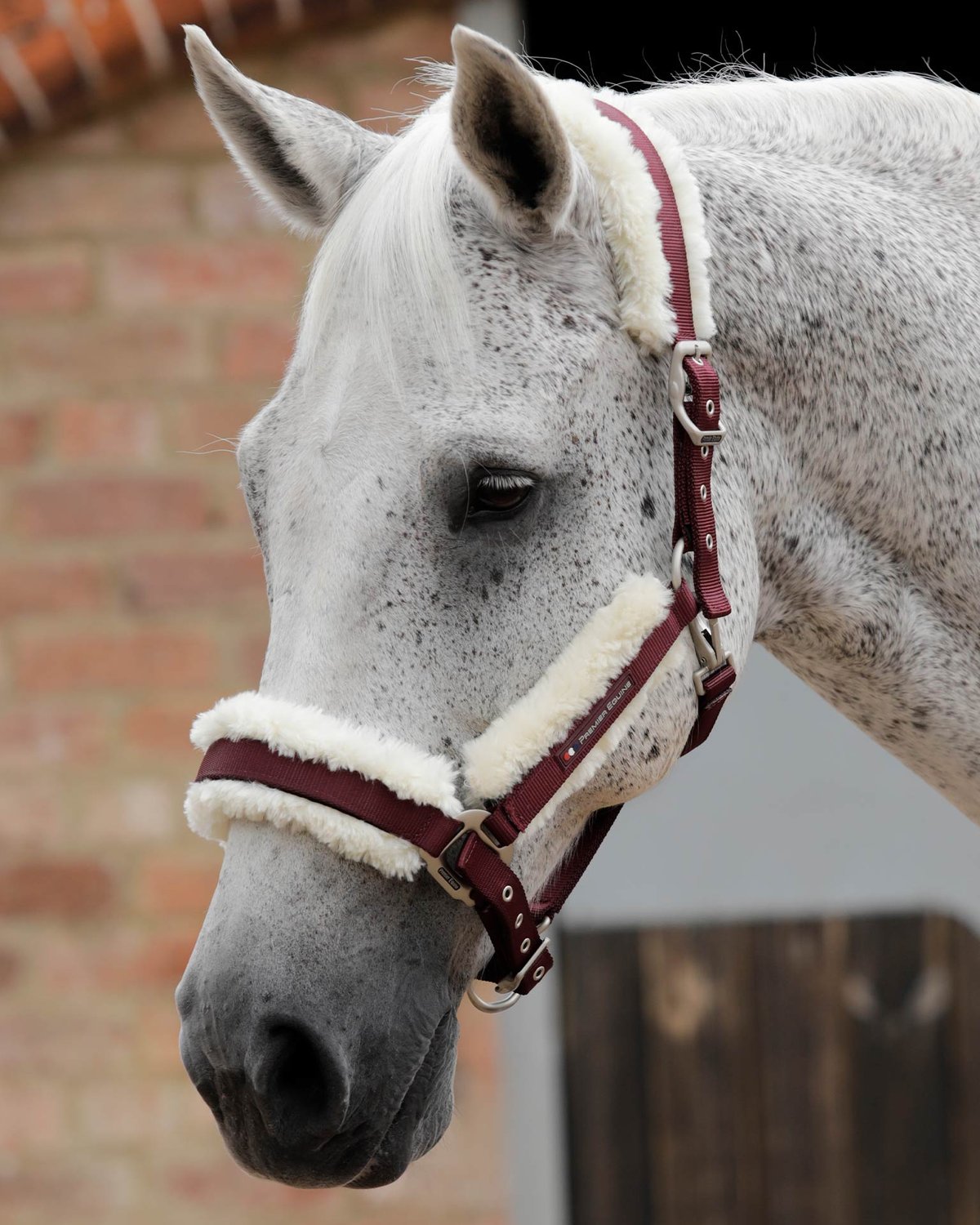 PREMIER EQUINE Burgundy Head Collar: Techno Wool Lined Comfort for Sensitive Horses | Equiflair