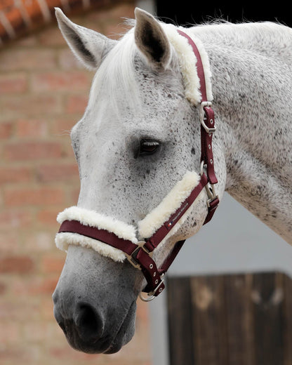 PREMIER EQUINE Burgundy Head Collar: Techno Wool Lined Comfort for Sensitive Horses | Equiflair