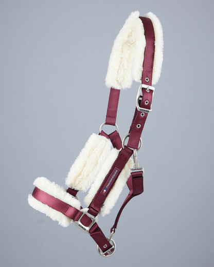 Premier Equine Techno Wool Lined Head Collar Burgundy
