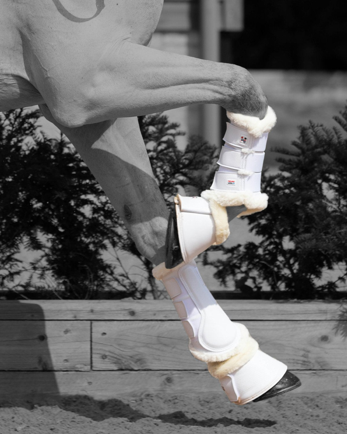 Premier Equine Carbon Tech Techno Wool Over Reach Boots - White Horse Leg Protection