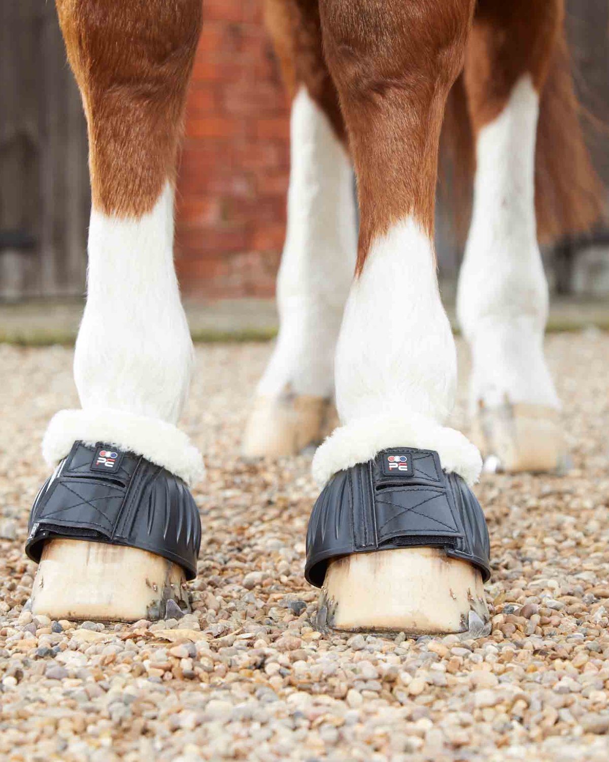 PREMIER EQUINE TECHNO WOOL Rubber Bell Over Reach Boots BLACK - Hoof Protection, Horse Equipment